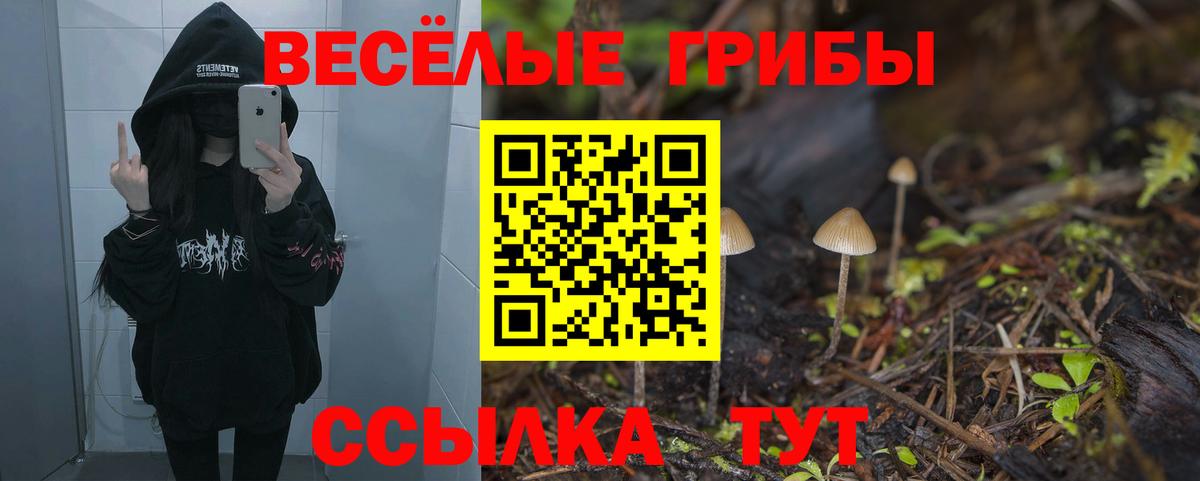 Галлюциногенные грибы ЛСД  Вход с VPN  Киселёвск  Псилоцибиновые грибы ЛСД 